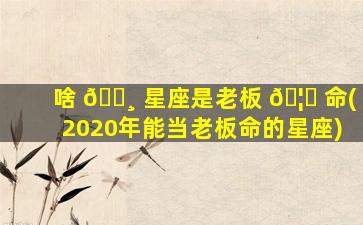 啥 🌸 星座是老板 🦈 命(2020年能当老板命的星座)